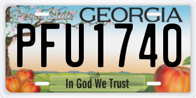 GA license plate PFU1740
