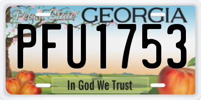 GA license plate PFU1753