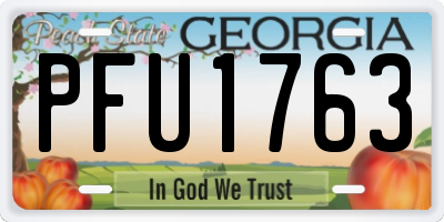 GA license plate PFU1763