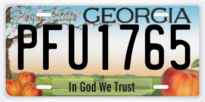 GA license plate PFU1765