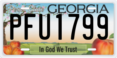 GA license plate PFU1799