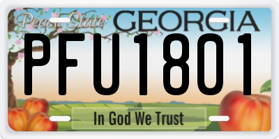 GA license plate PFU1801