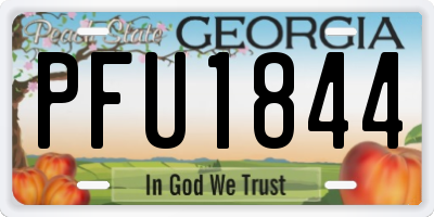 GA license plate PFU1844