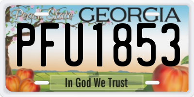 GA license plate PFU1853