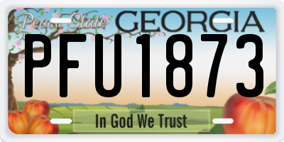 GA license plate PFU1873