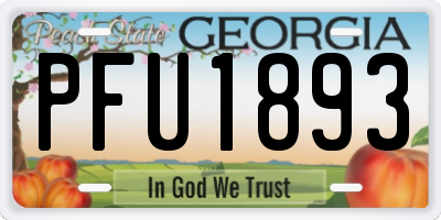 GA license plate PFU1893