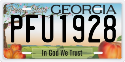 GA license plate PFU1928