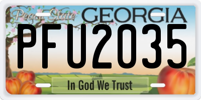GA license plate PFU2035