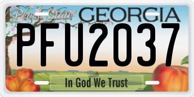 GA license plate PFU2037