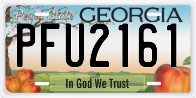 GA license plate PFU2161