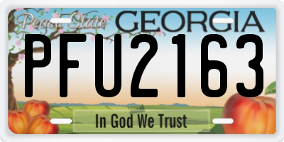 GA license plate PFU2163