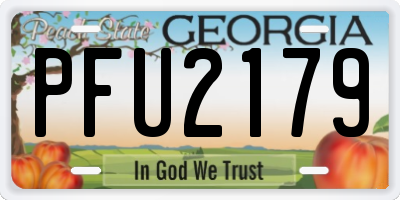 GA license plate PFU2179