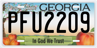 GA license plate PFU2209