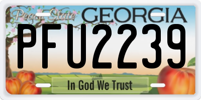 GA license plate PFU2239
