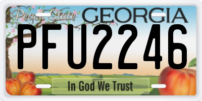 GA license plate PFU2246