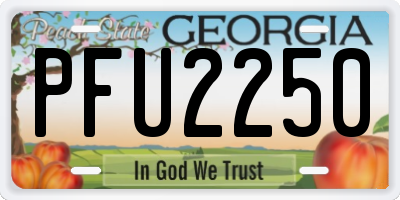 GA license plate PFU2250