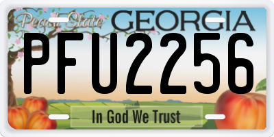 GA license plate PFU2256