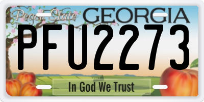 GA license plate PFU2273