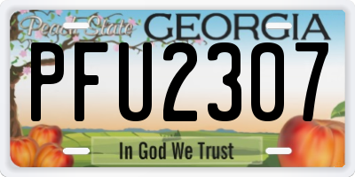 GA license plate PFU2307