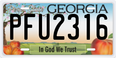 GA license plate PFU2316