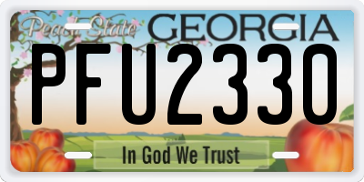 GA license plate PFU2330