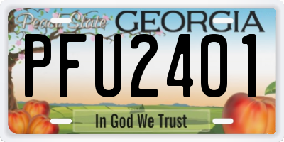 GA license plate PFU2401