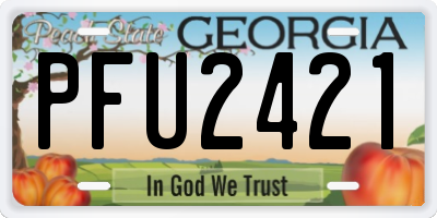 GA license plate PFU2421