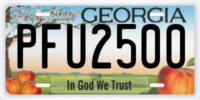 GA license plate PFU2500