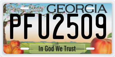 GA license plate PFU2509