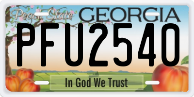 GA license plate PFU2540