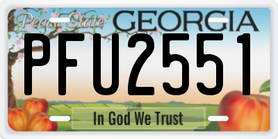 GA license plate PFU2551