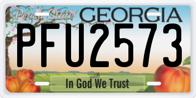 GA license plate PFU2573