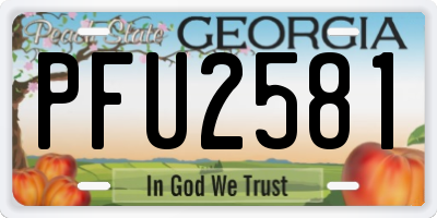 GA license plate PFU2581