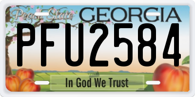 GA license plate PFU2584