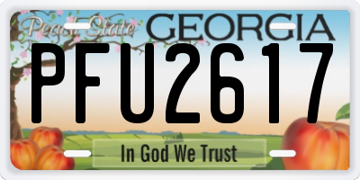 GA license plate PFU2617