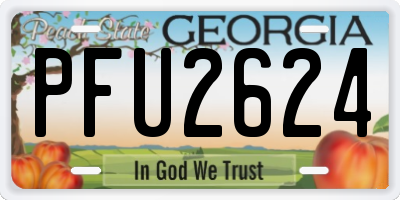 GA license plate PFU2624
