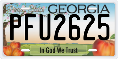 GA license plate PFU2625