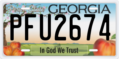 GA license plate PFU2674
