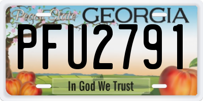 GA license plate PFU2791