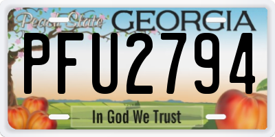 GA license plate PFU2794