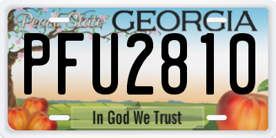 GA license plate PFU2810