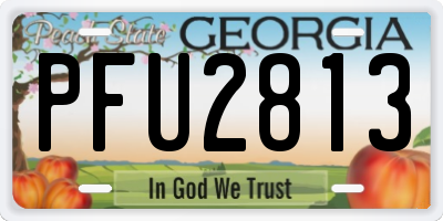 GA license plate PFU2813