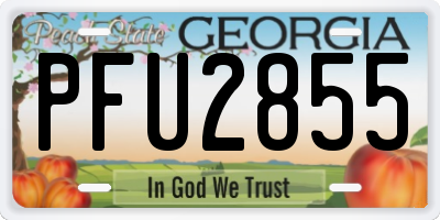 GA license plate PFU2855