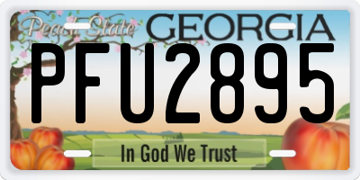 GA license plate PFU2895