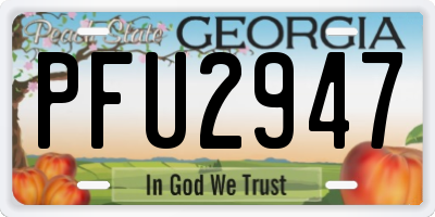 GA license plate PFU2947