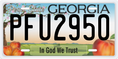 GA license plate PFU2950