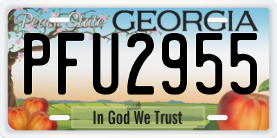 GA license plate PFU2955