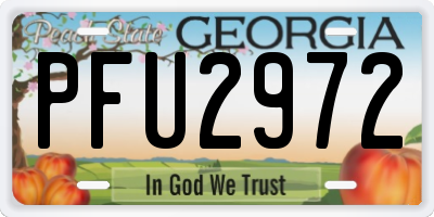 GA license plate PFU2972