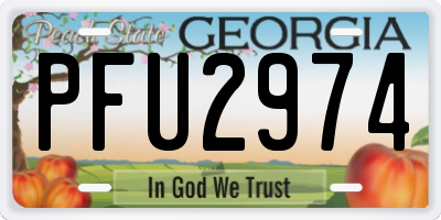GA license plate PFU2974