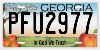 GA license plate PFU2977